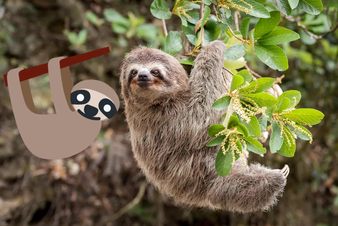 World emoji day: Top 10 emojications for 2019