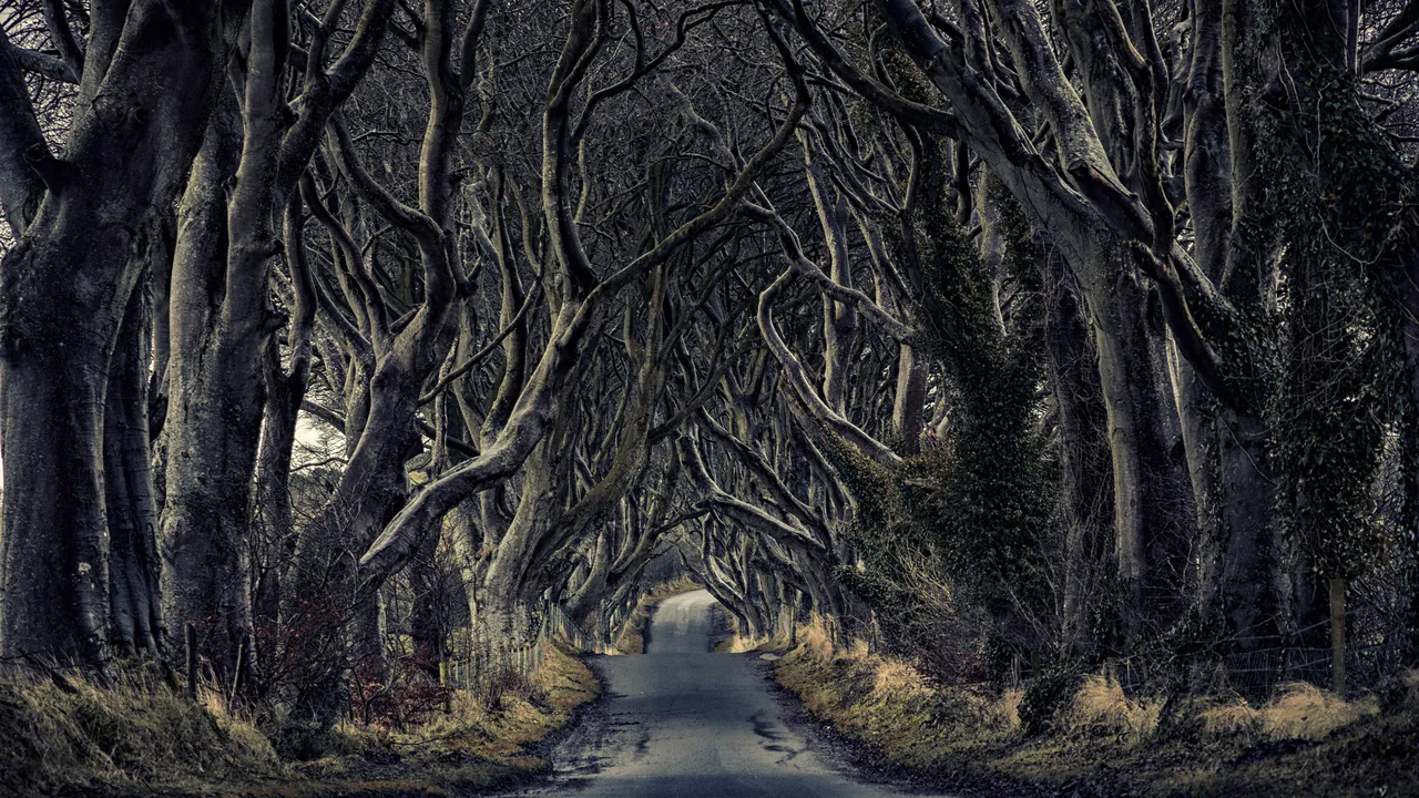 The Game of Thrones Effect: 1,772% rise in flight bookings to Belfast