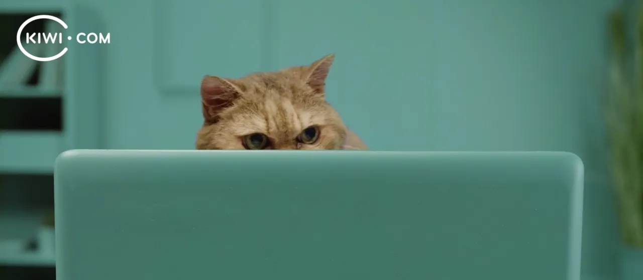 Kiwi.com reveals new brand identity