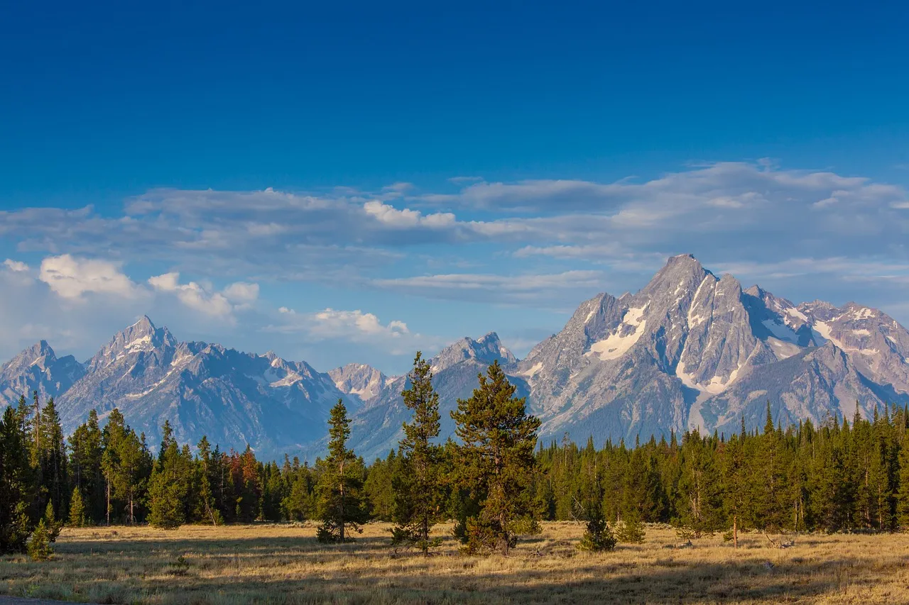 Kiwi.com partners with Yellowstone Regional Airport to bring travelers to national park