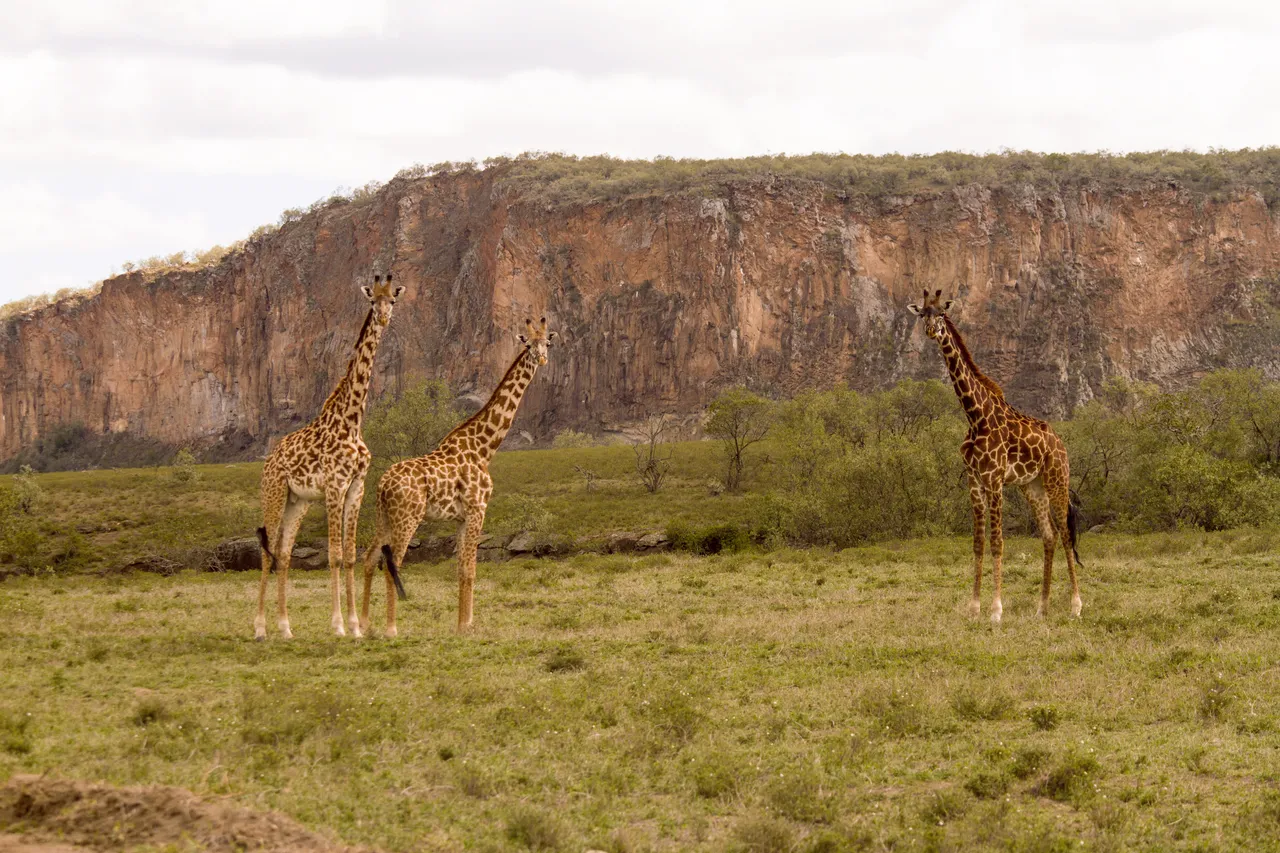 Hell’s Gate National Park 2019’s Blockbuster Getaways — Shutterstock